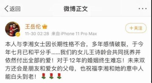 娱乐圈吃瓜报告